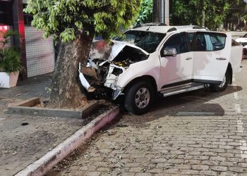 Caminhonete bate em árvore e deixa quatro feridos no Centro