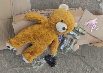 Homem é preso transportando drogas em urso de pelúcia