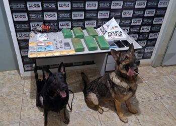 Dupla de irmãos é presa com drogas e dinheiro em Matipó