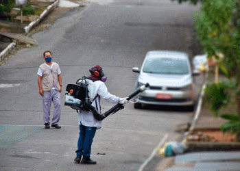 Índice de infestação de arboviroses em Valadares cai pela metade, aponta levantamento