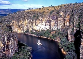 Coluna MG | 8 de novembro de 2023