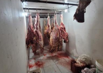 Ministério Público denuncia proprietário de abatedouro clandestino