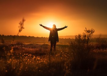 O Meio Cultural e a Formação das Ambições