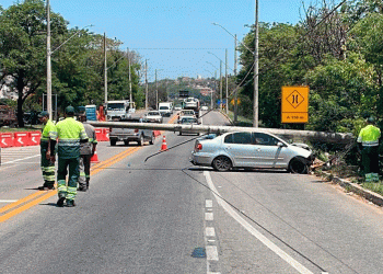 Motorista perde controle de carro e bate em poste na BR-116
