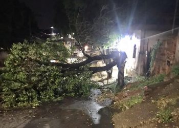 Ventania causa estragos em diversos bairros de Valadares
