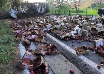 Passageiro de caminhão de pitaias morre carbonizado na BR-259