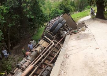 Animais morrem numa queda de caminhão em ponte trincada