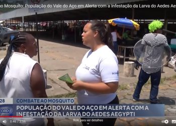 Combate ao mosquito:  população do Vale do Aço em alerta com a infestação da larva do Aedes aegypti
