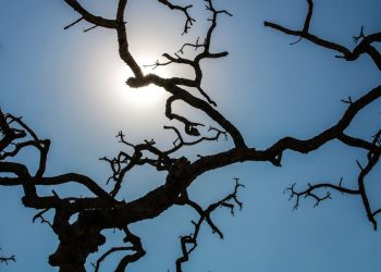 Brasil registra recorde da temperatura média pelo quarto mês seguido