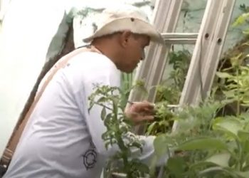 Agentes de endemias fiscalizam residências à procura de focos de arboviroses