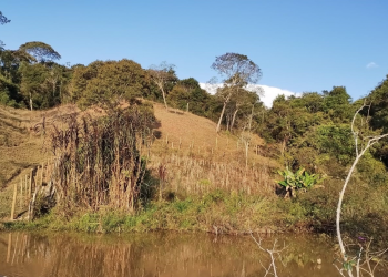 Dia Nacional do Rio: iniciativa ganha investimentos para preservação do Rio Doce