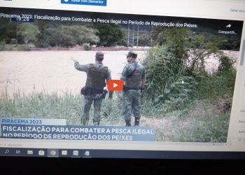 Começa a fiscalização para combater a pesca ilegal no período da piracema