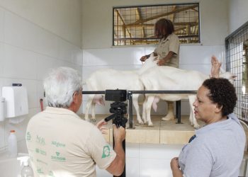Expedição Bééé Brasil mostra caprinocultura da Univale para todo o país
