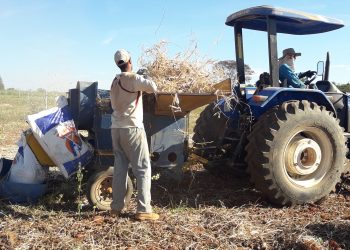 Economia mineira registra aumento de 2,6% no terceiro trimestre