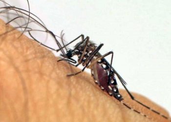 Coluna MG | 27 de dezembro de 2023