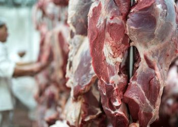 Abate de animais cresce no terceiro trimestre de 2023