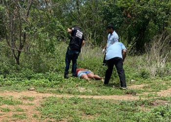 Mulher é assassinada a tijoladas