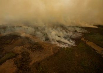 Pesquisa mede emissão de óxido nitroso na Amazônia e no Pantanal