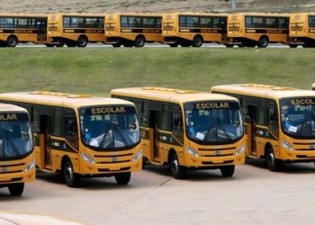 Municípios têm até 15 de janeiro para preencherem formulários do Programa Estadual de Transporte Escolar 