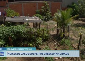 ARBOVIROSES EM IPATINGA: índices de casos suspeitos crescem na cidade