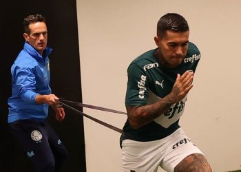 Dudu trabalha nas férias para acelerar retorno