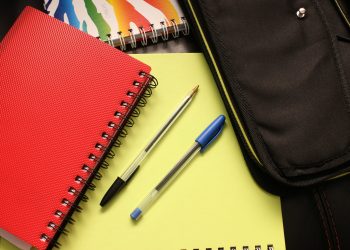 Ano letivo da rede estadual de ensino termina nesta quarta-feira