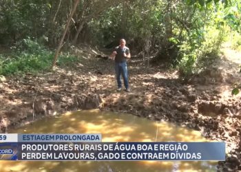 ESTIAGEM PROLONGADA: produtores rurais de Água Boa e região perdem lavoura, gado e aumentam dívidas