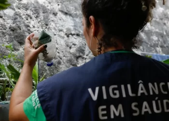 Saúde: Brasil pode registrar até 4,2 milhões de casos de dengue em 2024
