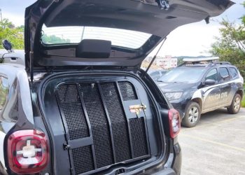 Idoso é preso em flagrante por estupro de vulnerável em Joaíma