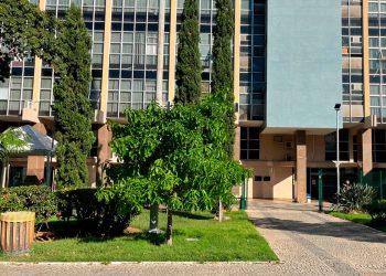 Emissão de Certidão Negativa de Débitos ganha atualização