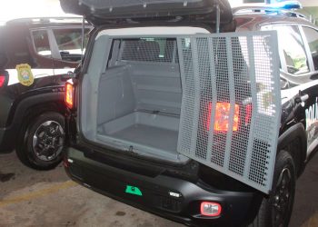 Mega operação contra facção criminosa mobiliza 170 policiais em Minas; 17 pessoas foram presas