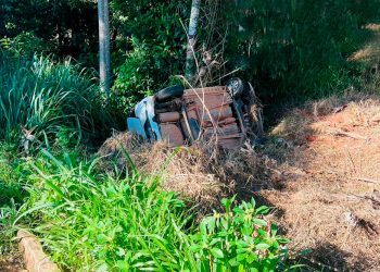 Motorista desvia de cão, perde o controle do veículo e cai às margens de rodovia