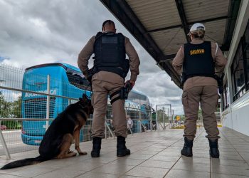 Polícia Militar Rodoviária intensifica fiscalização na BR-259 durante operação 'Força Total'