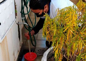 Agentes de endemias vistoriam imóveis de Valadares para combater arboviroses