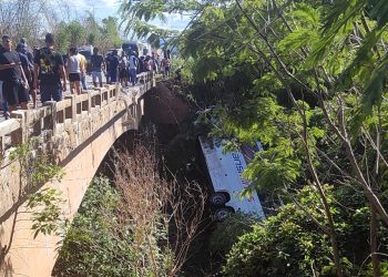 Seis pessoas morrem em grave acidente na BR-116