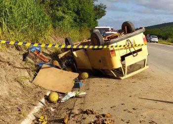A Kombi capotou após a colisão com o animal