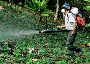 Dia do Controle da Poluição por Agrotóxicos promove cuidado ambiental na agricultura