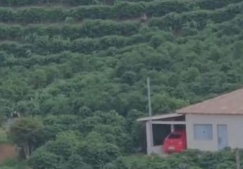 Foragido da Justiça é preso escondido em um cafezal na zona rural