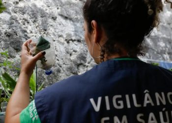 Minas Gerais pode atingir pico de dengue até março