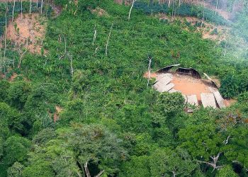 Desmatamento em áreas protegidas da Amazônia cai 73% em 2023