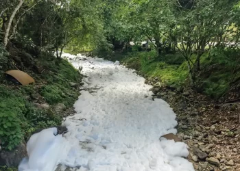 Prefeitura de Joinville retoma captação após ácido cair em rio