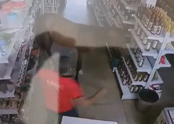 Cavalo invade mercearia e para em frente gôndola de bebidas