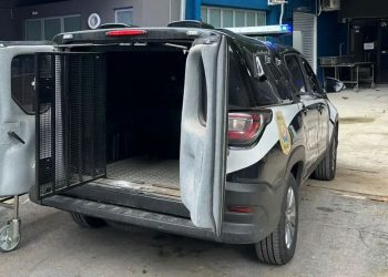 Trabalhadores encontram ossada humana às margens de rodovia