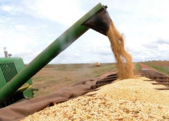 Coluna MG | 5 de fevereiro de 2024