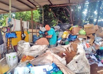 Coluna MG | 27 de fevereiro de 2024