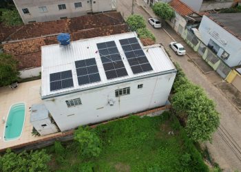 Abelhas atacam moradores que limpavam placas de energia solar