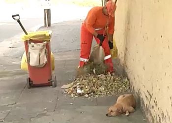 ‘Princesa’ acompanha as amigas da limpeza urbana durante o trabalho e se populariza