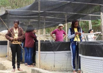 Curso promove desenvolvimento de negócios agroflorestais