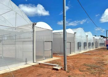 Coluna MG | 5 de março de 2023