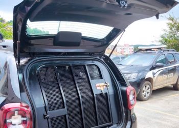 Polícia prende homem investigado por estuprar filhas e engravidar uma delas